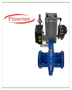 Pneuamtic Operated Pinch Valves